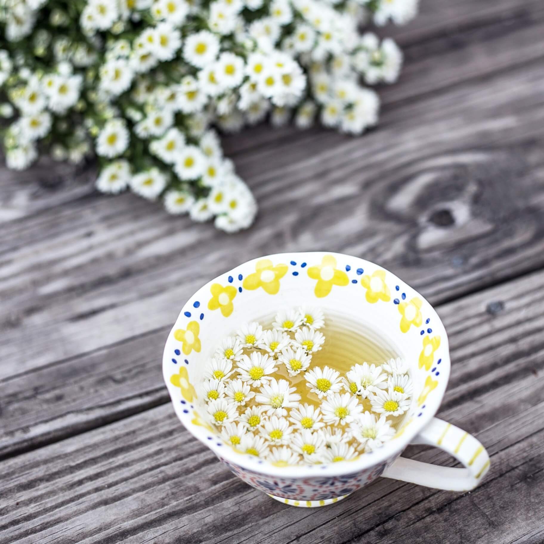 Melisse et Camomille