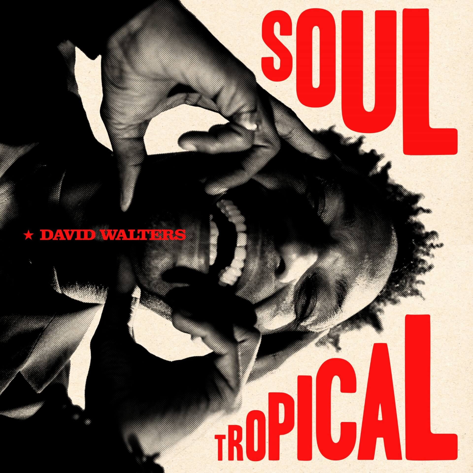 DAVID WALTERS  “SOUL TROPICAL” | Star Wax Magazine