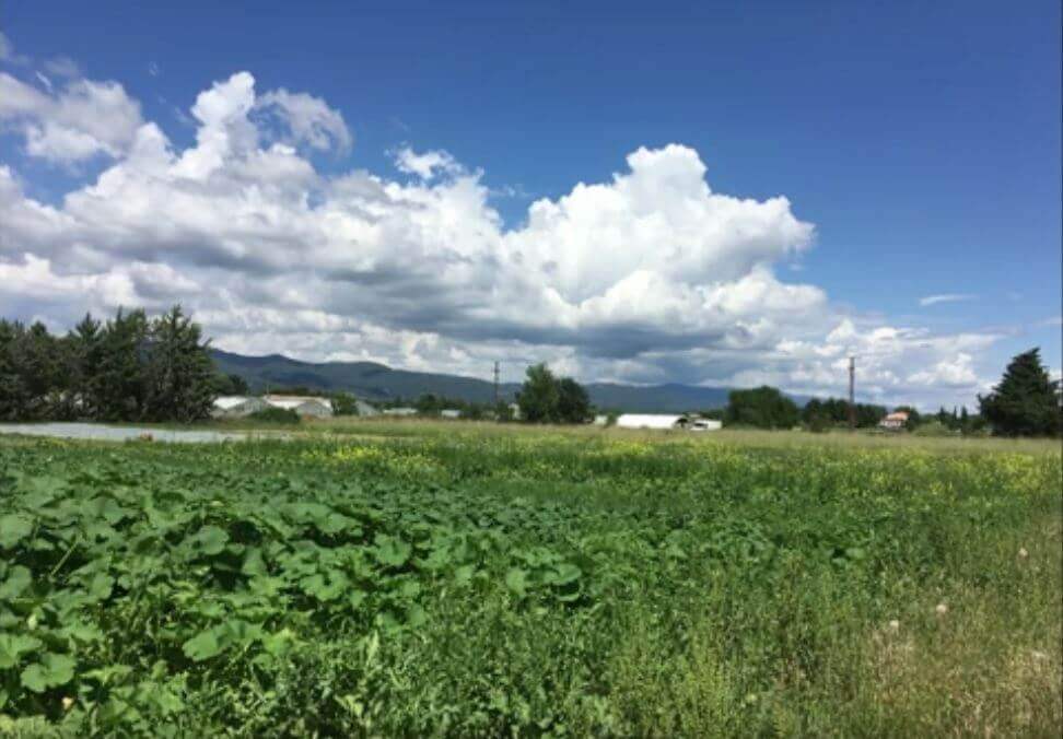 Visite de ferme et témoignages | Vivant·e !