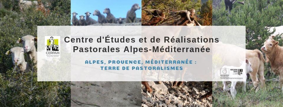 Conférence sur le pastoralisme | Vivant·e !