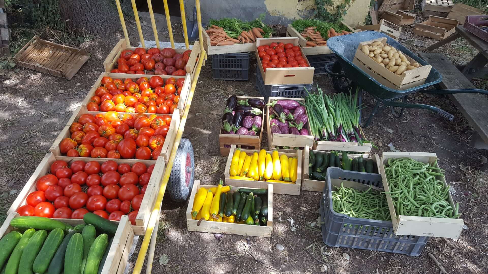 « Portraits de Paysans » | Vivant·e !