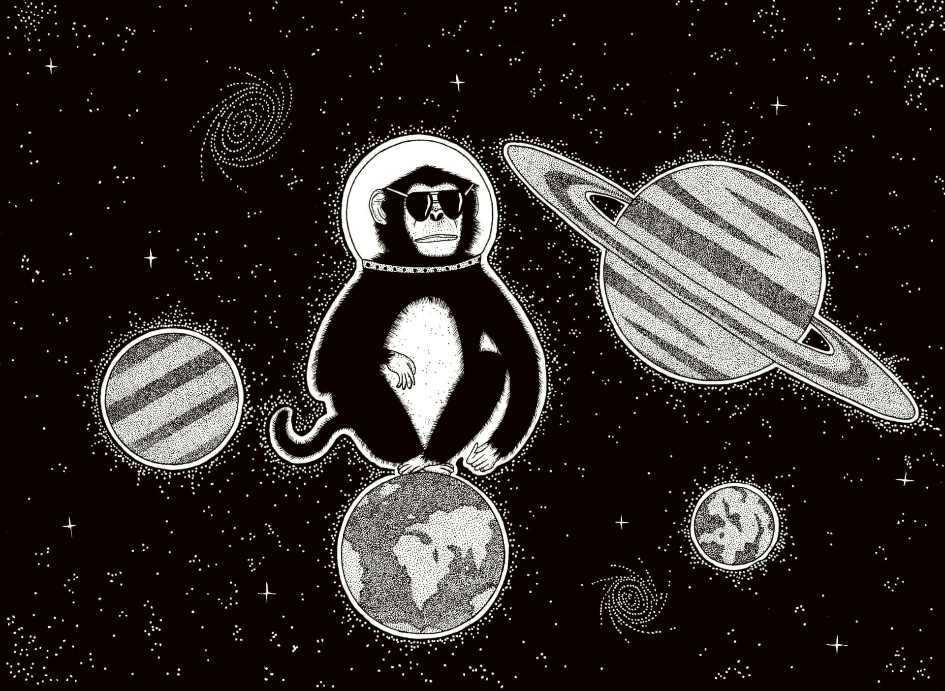 L'Odyssée du singe | Kumo