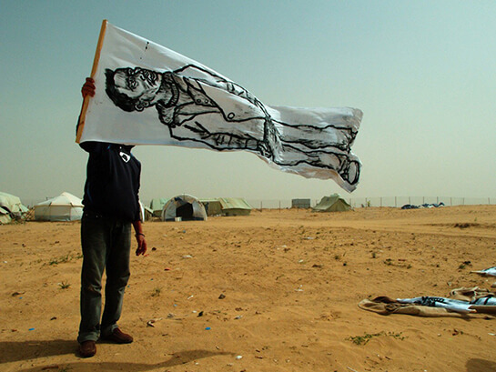 Zoo Project, hommage sauvage | Babelmed