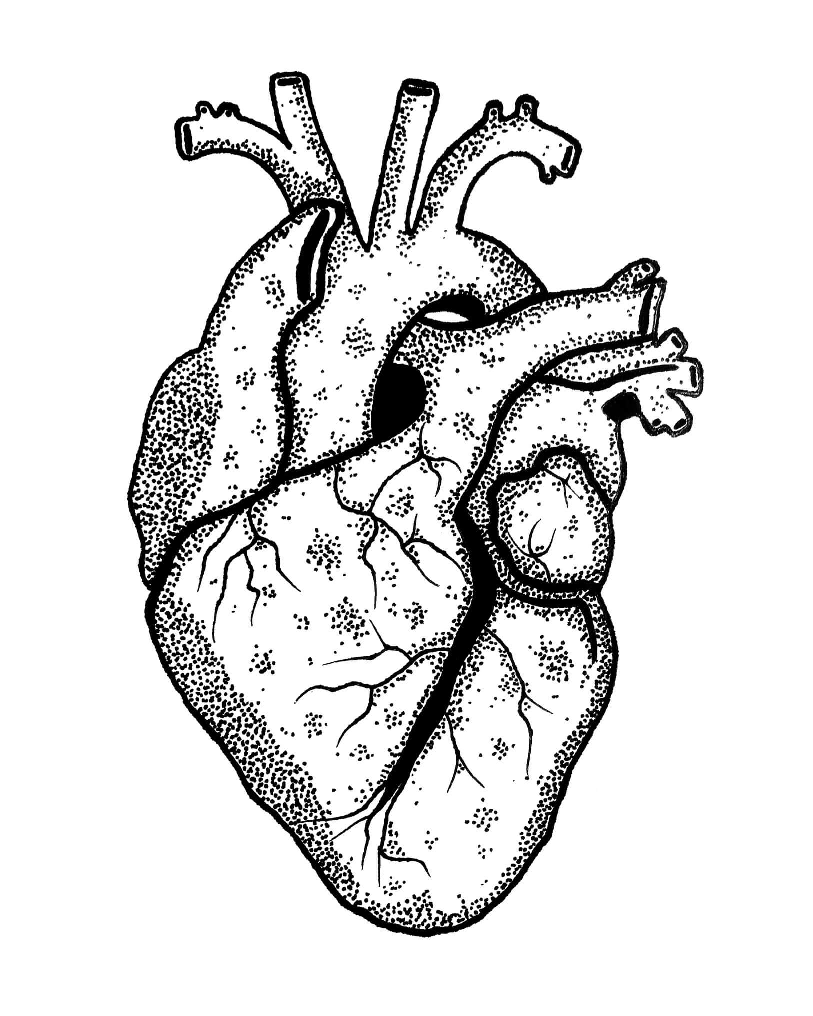 Organe des sentiments | Kumo