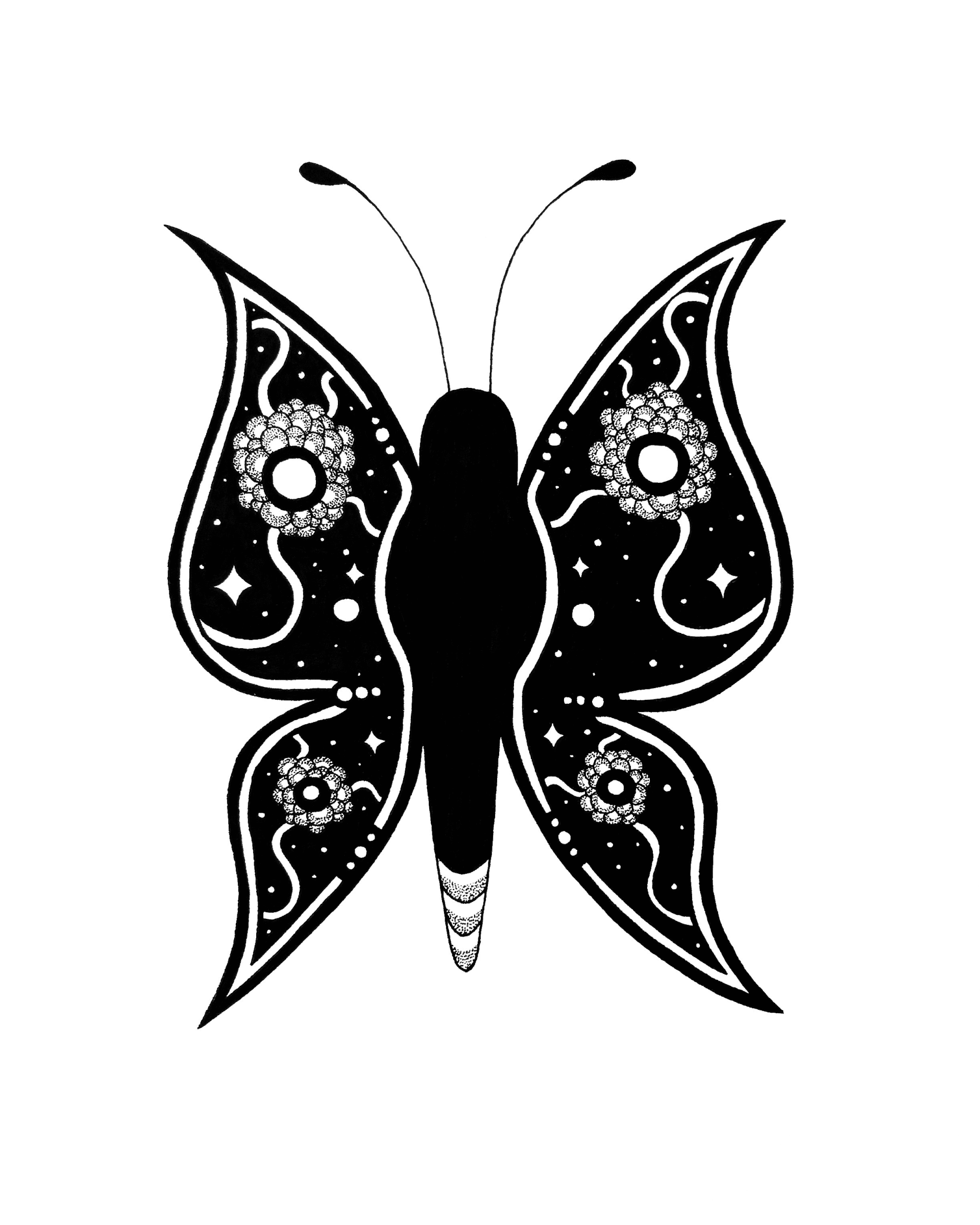 Papillon de Nuit | Kumo