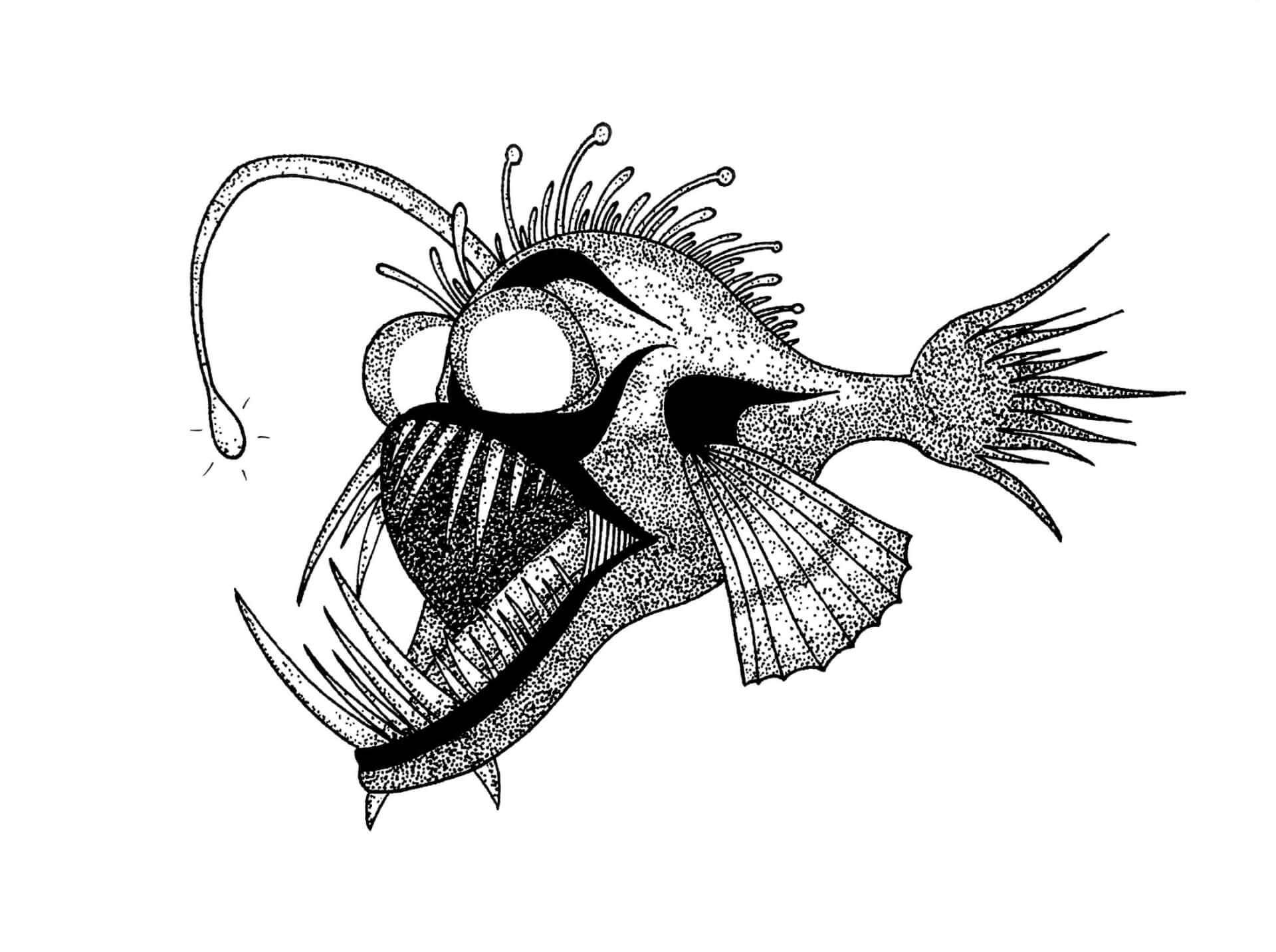 Le monstre des abysses | Kumo