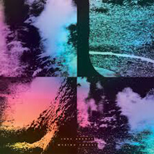 LUKE ABBOTT / WYSING FOREST  | Star Wax Magazine