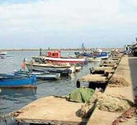 Rencontres Cinématographiques de Béjaia | Babelmed