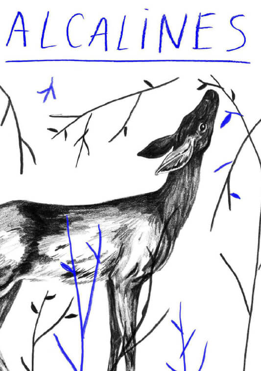 Alcalines en Concert | Au Maquis