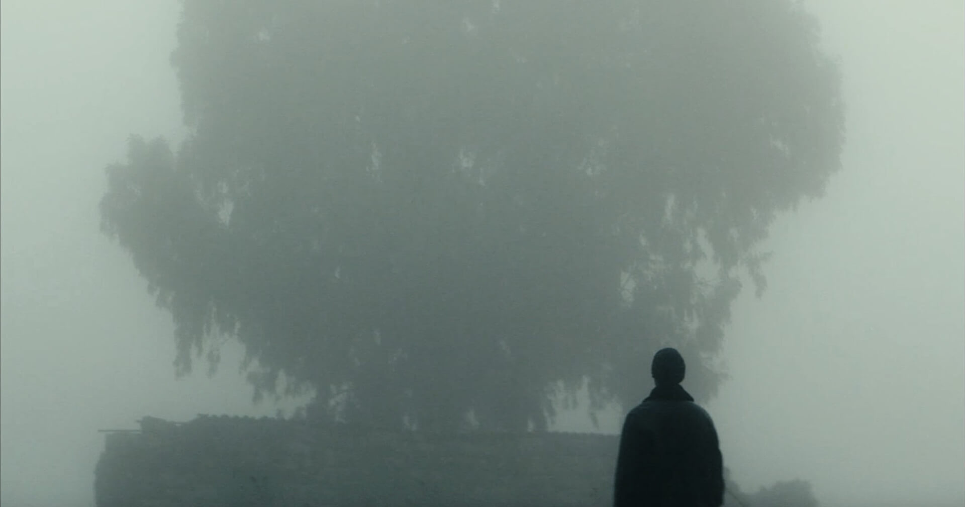 INÉDIT - The Stranger de Ameer Fakher Eldin | Festival Ciné-Palestine - FCP