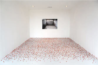 Taycir Batniji | Babelmed