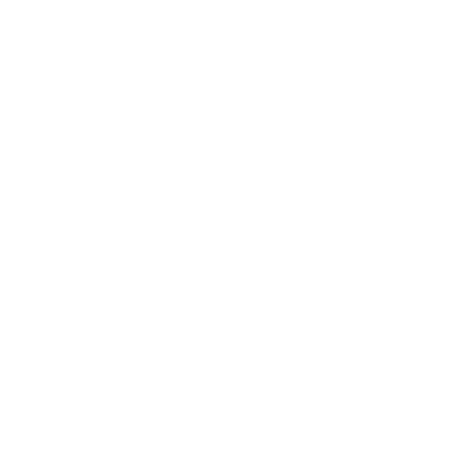 Festival Emmaüs Solidarité