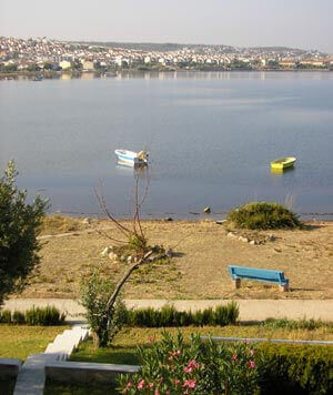 Glob-note - Page: 20070724 | Babelmed