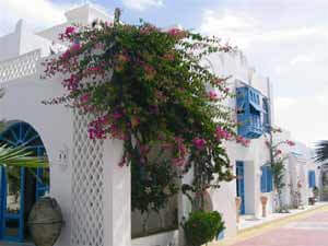 Le bustan de Sultana | Babelmed