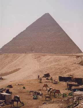 Carta a Europa | Babelmed