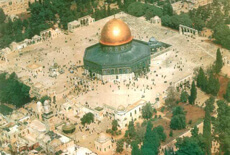 Me voici palestinienne | Babelmed