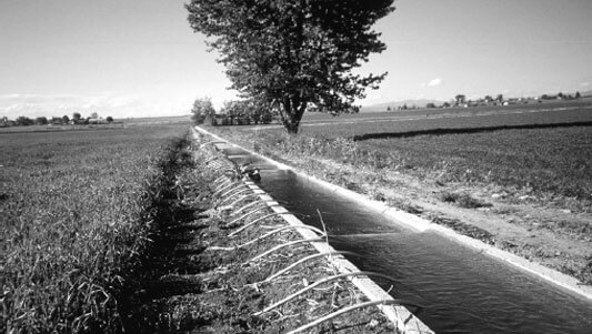 Coupure d’eau d’irrigation à Borj Ettoumi: La saison agricole, survivra-t-elle ? | Babelmed