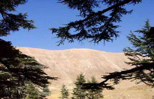 Lebanon: The hotel by the cedars | Babelmed