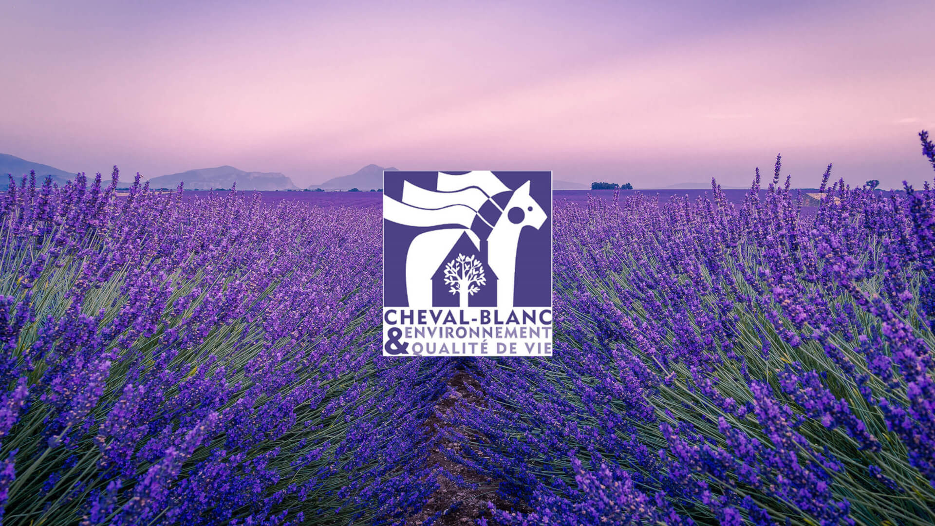 Challenge mobilité | AEQV