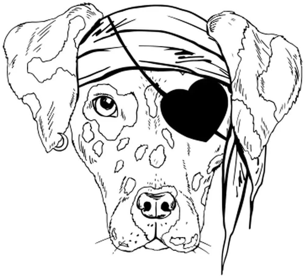 Les faux chiens d'assistance en circulation | FCAPI - France Chiens d'Assitance Personnalisé et indidualisé