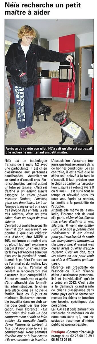 Néïa recherche un petit maître à aider | FCAPI - France Chiens d'Assitance Personnalisé et indidualisé