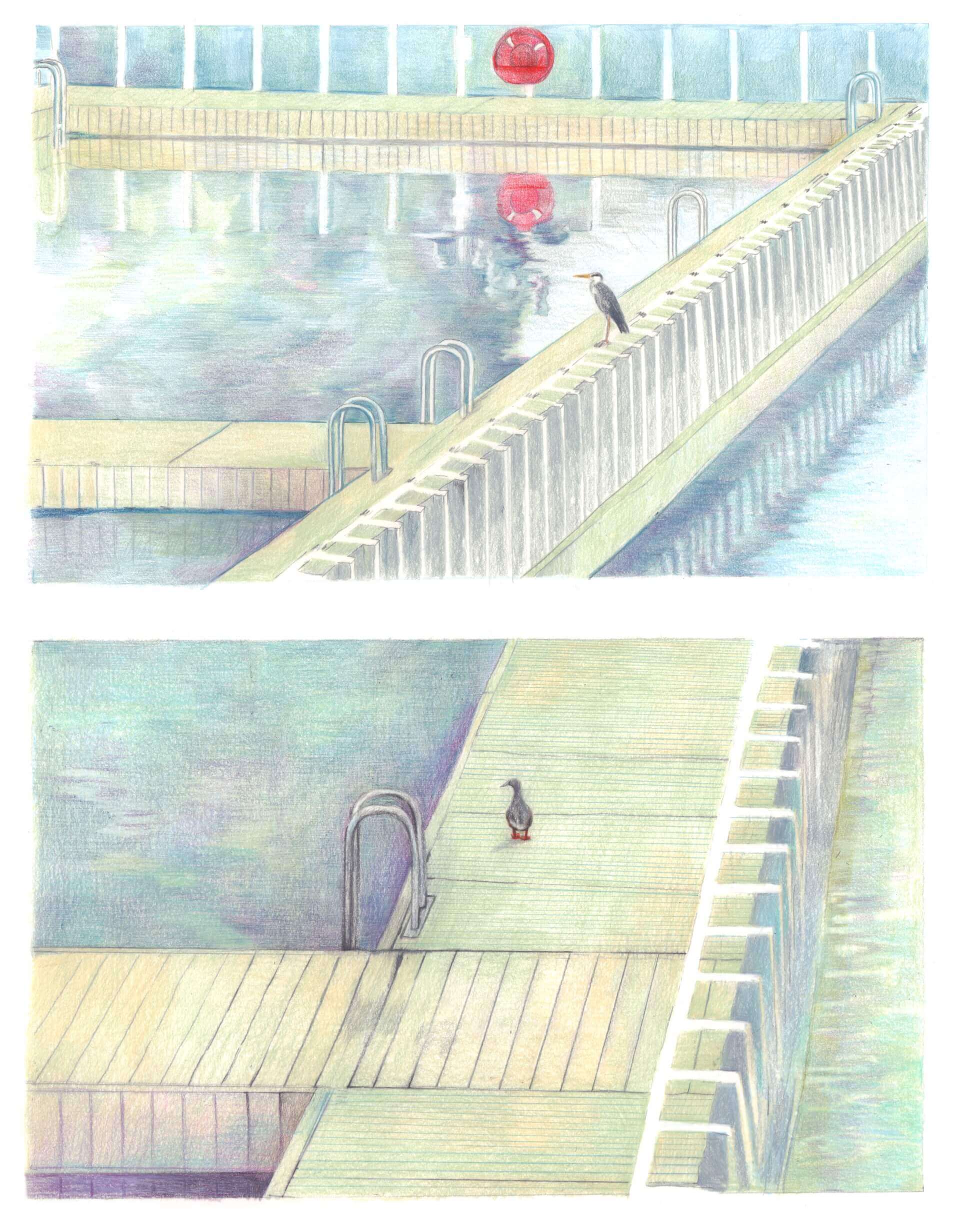 Piscine et visiteurs | Éléonore Scardoni