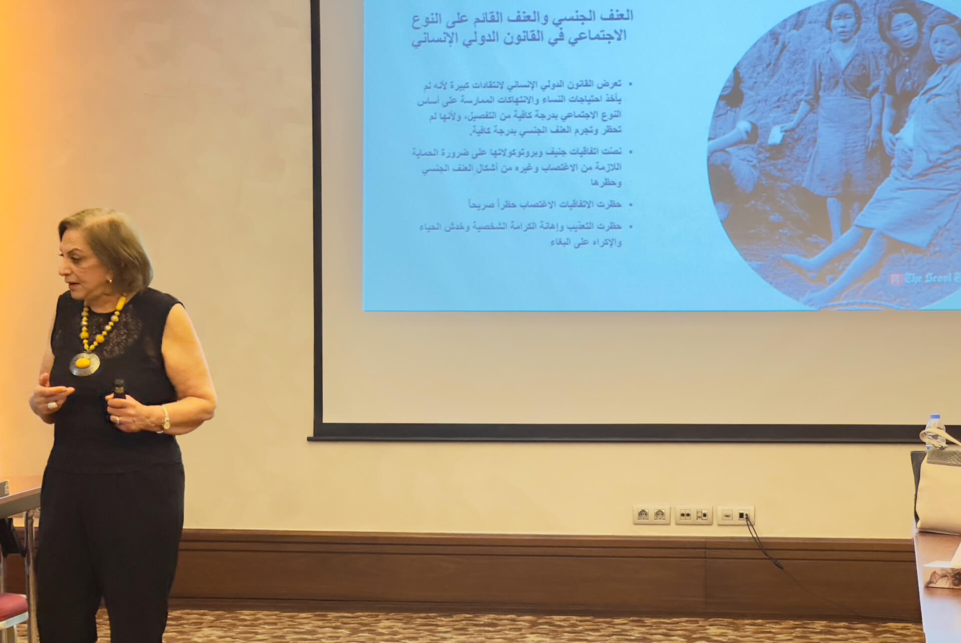 Training on the "Common Agenda for combating Violence Against Women and Girls as a major barrier to women's participation in Syria" | EFI - EuroMed Feminist Initiative