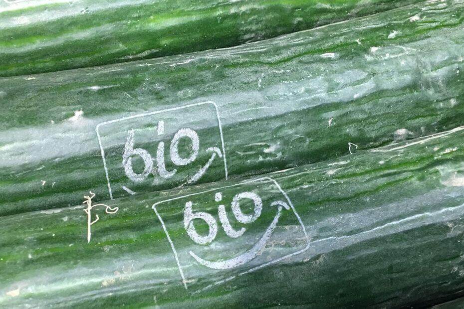 Strasbourg : L'ÉCO-ORGASME ou comment se faire du bien sans se faire du mal | Générations Cobayes