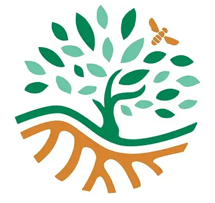 Sand to Green | Inspeer