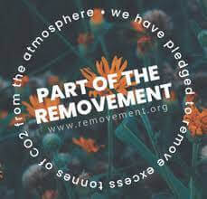 Removement | Inspeer