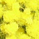 Donne del Mediterraneo. Un passo avanti e due indietro | Babelmed