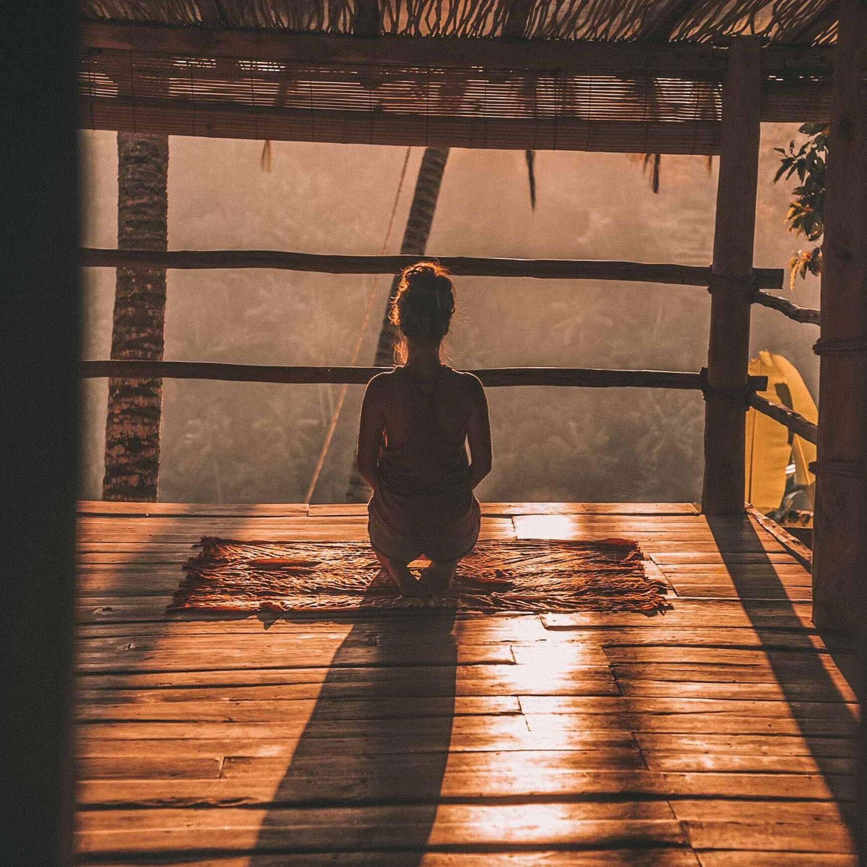 Melisse et Camomille