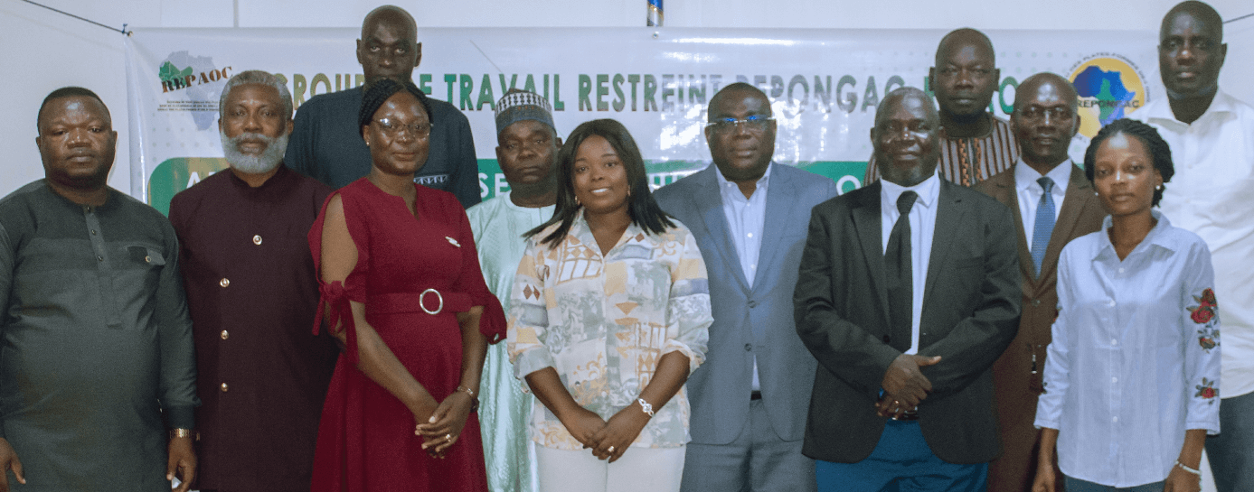 Atelier du groupe de travail restreint entre REPONGAC et REPAOC | REPONGAC - Réseau des Plate-formes des ONG de l'Afrique Centrale