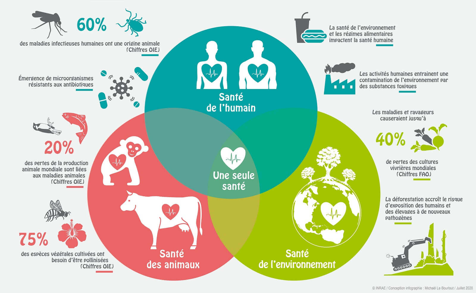 Générations Cobayes