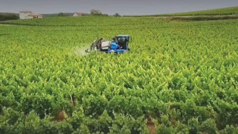 Pesticides, la plaie des champs Pesticides, la plaie des champs | Générations Cobayes