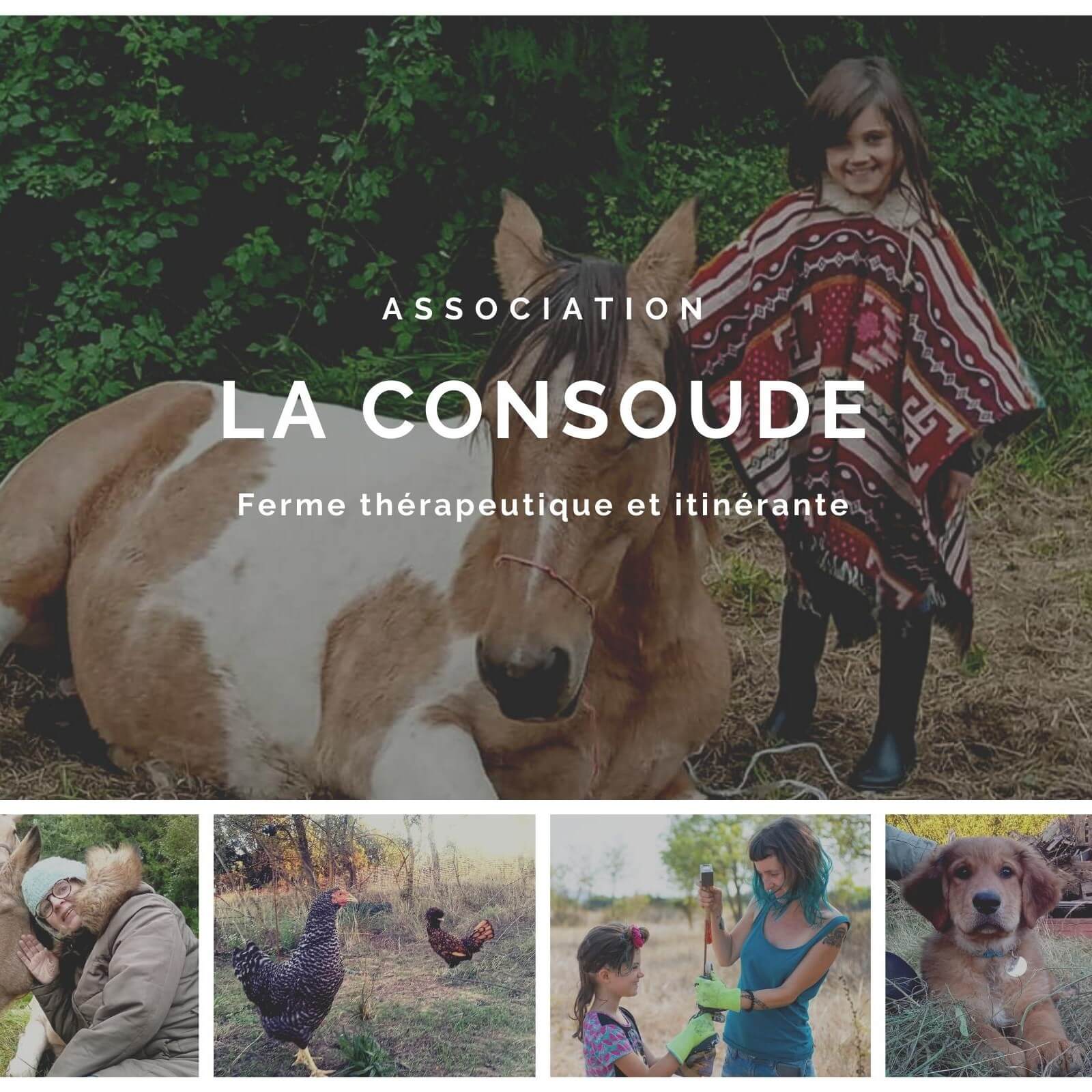 Repas semi-gastronomique en soutien à La Consoude | Au Maquis