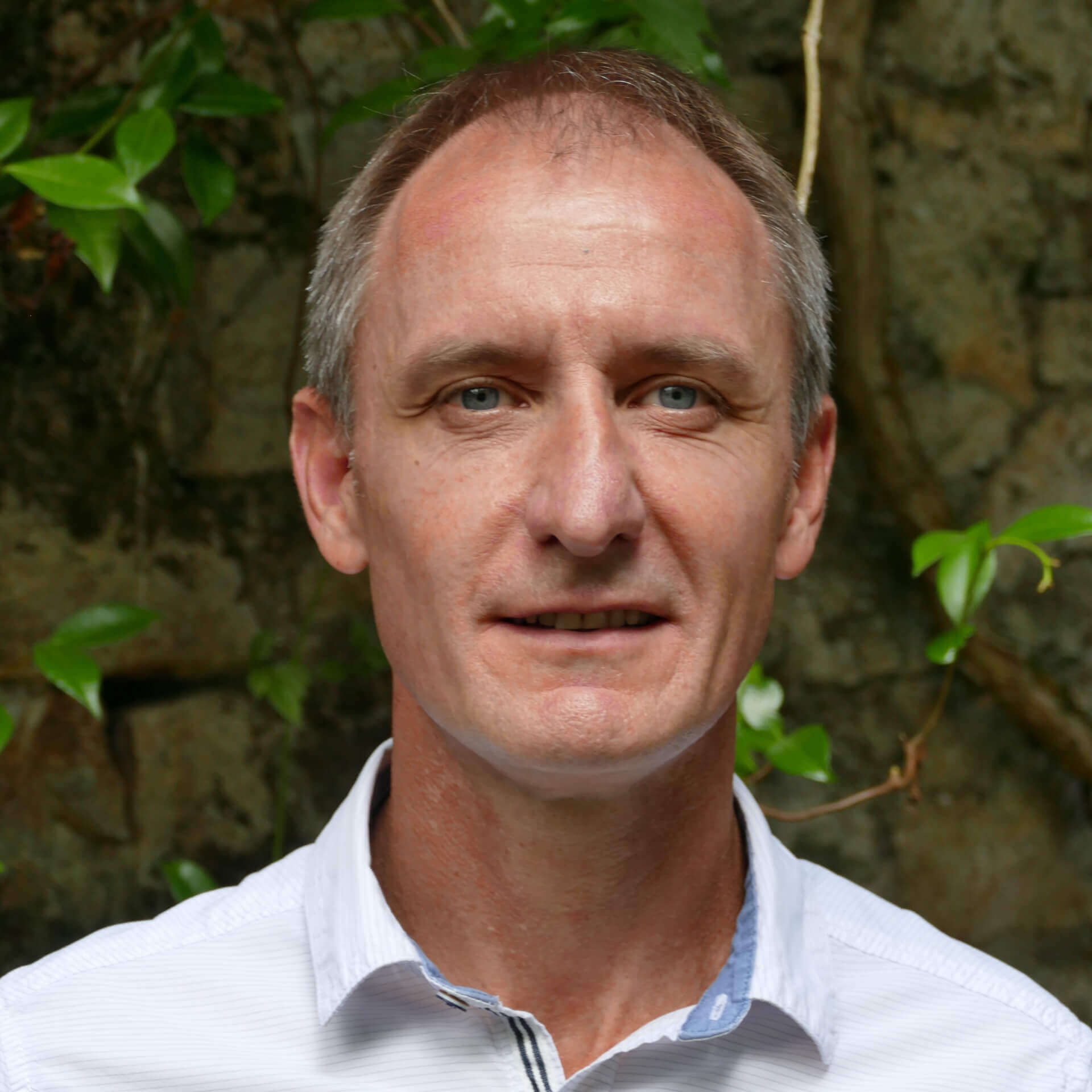 Marchand, P. | IICIMED