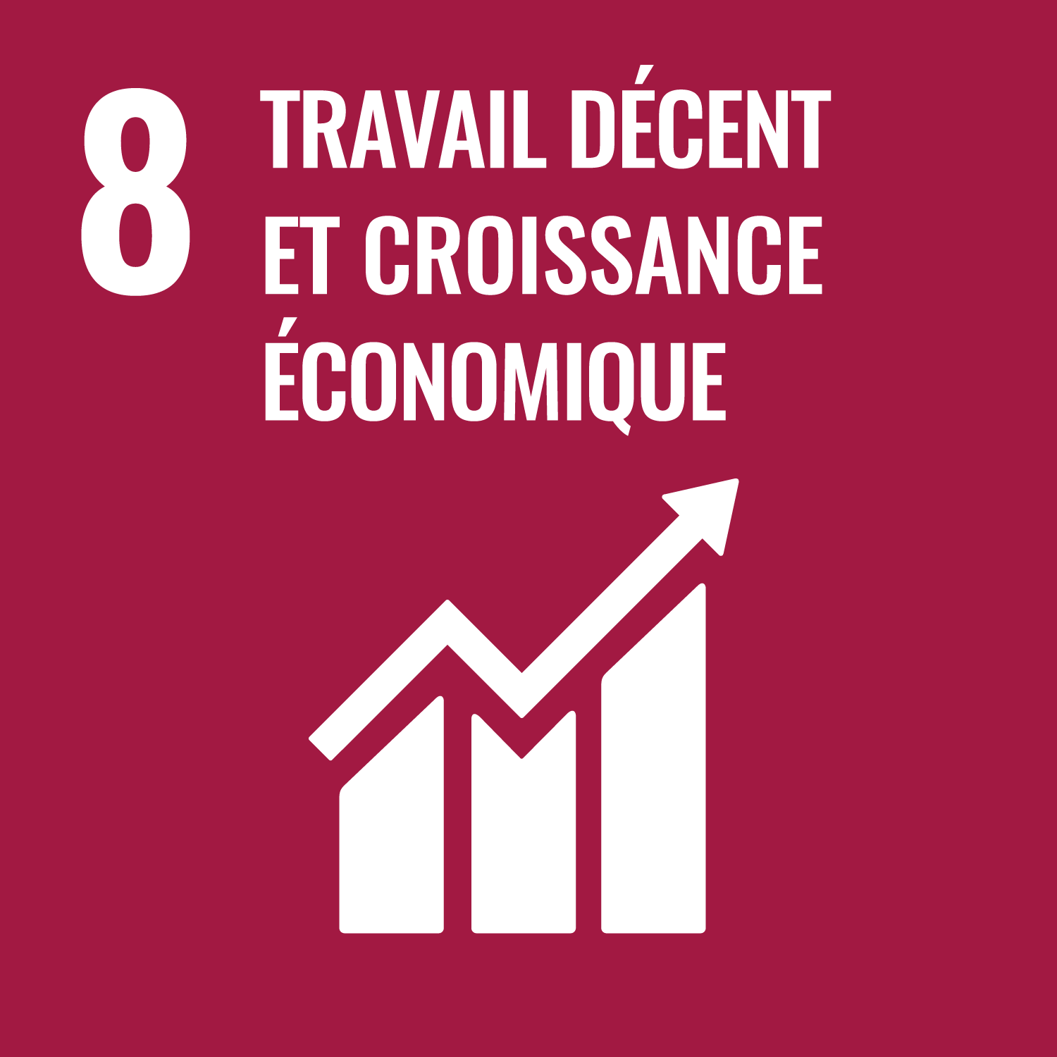 8. Travail décent et croissance économique | Sourires d'Enfants
