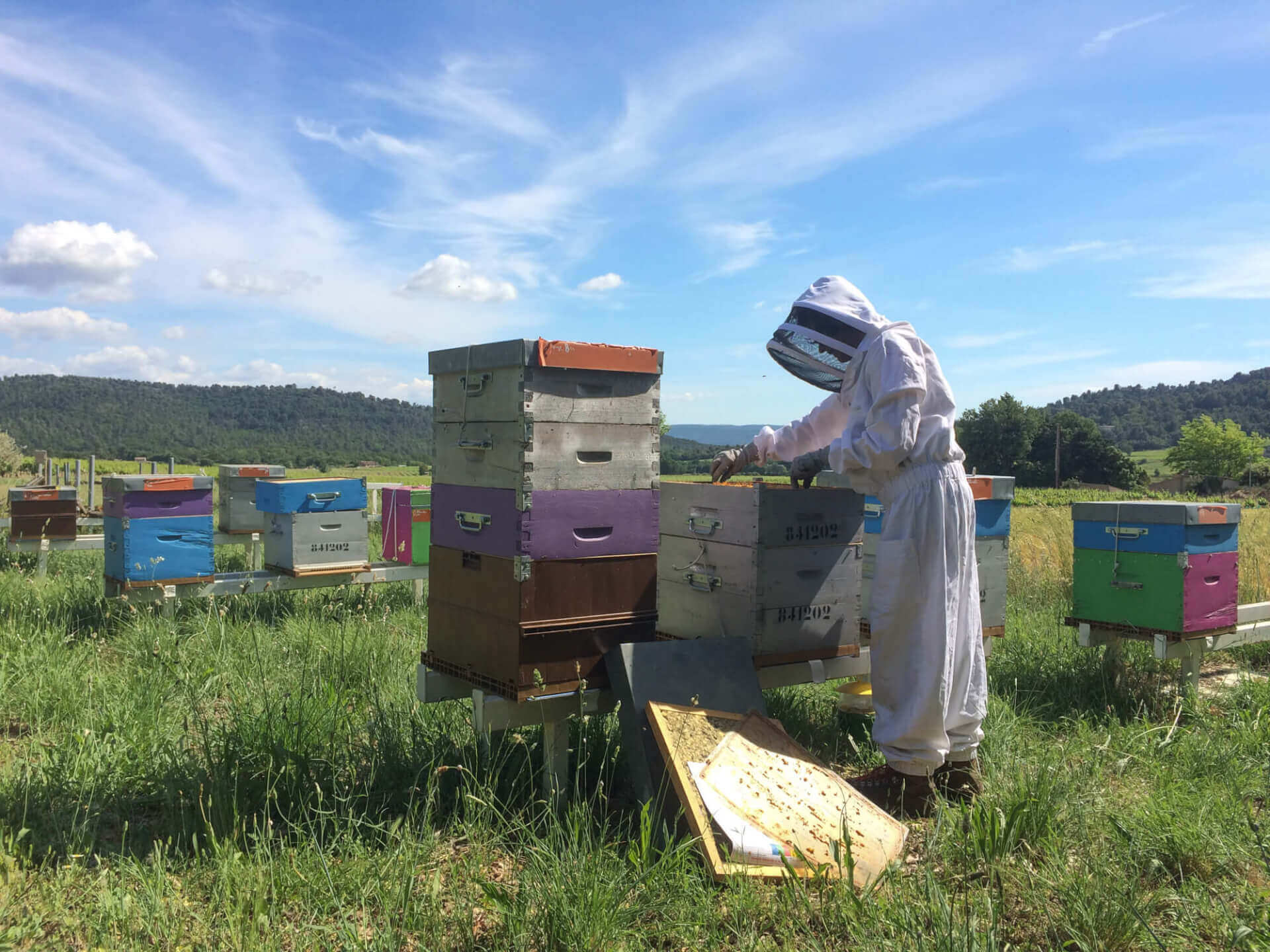 De la fleur au pot : produire du miel dans le sud Luberon | Vivant·e !
