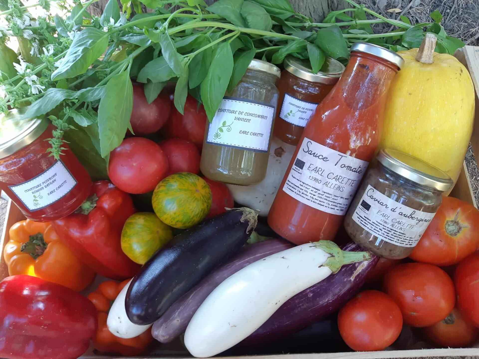 Visite de l’exploitation EARL CARETTE : Maraichage bio. | Vivant·e !