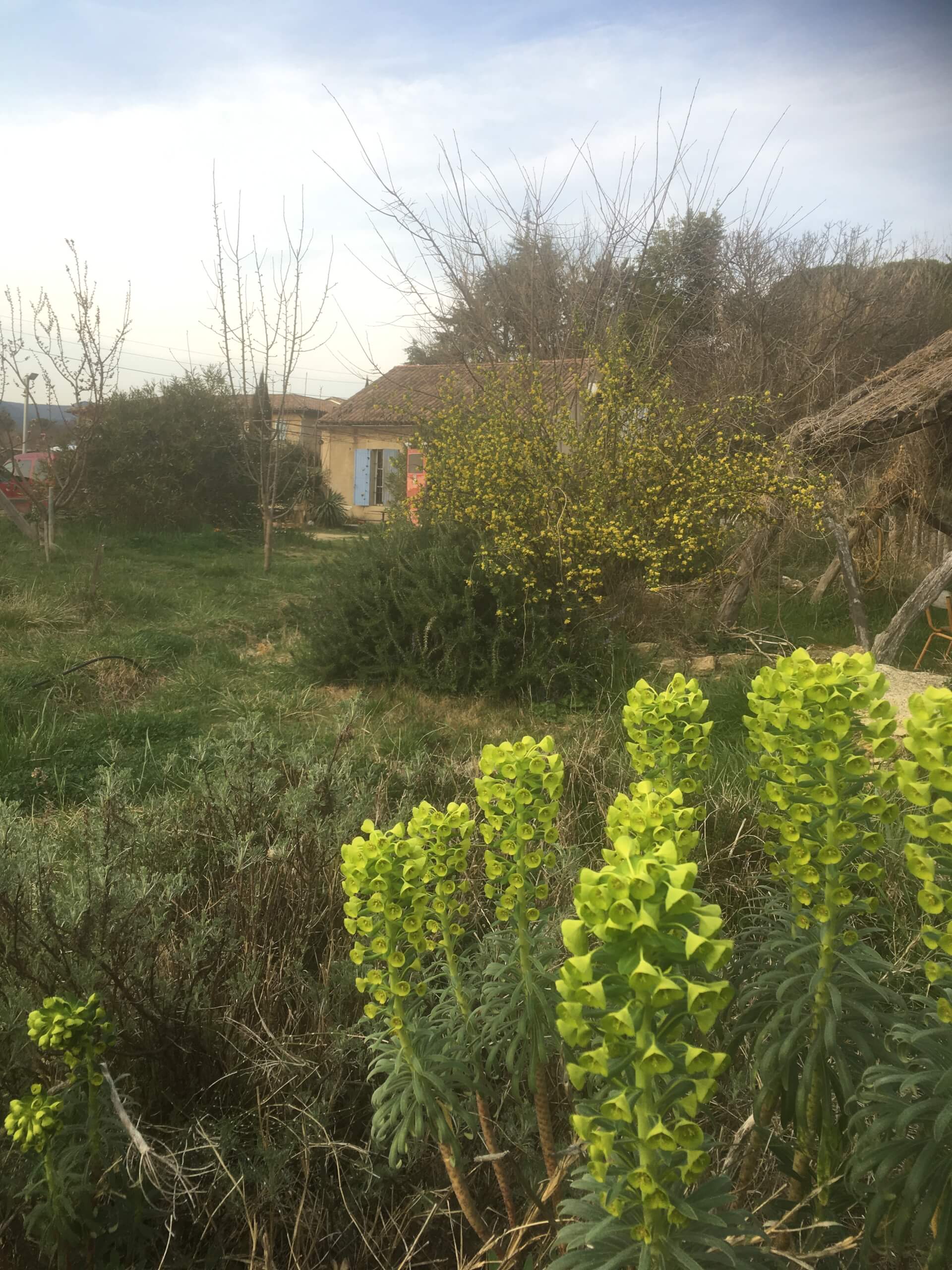 Atelier Jardin : Tous els 2ème et 4ème MARDIS du mois | Au Maquis