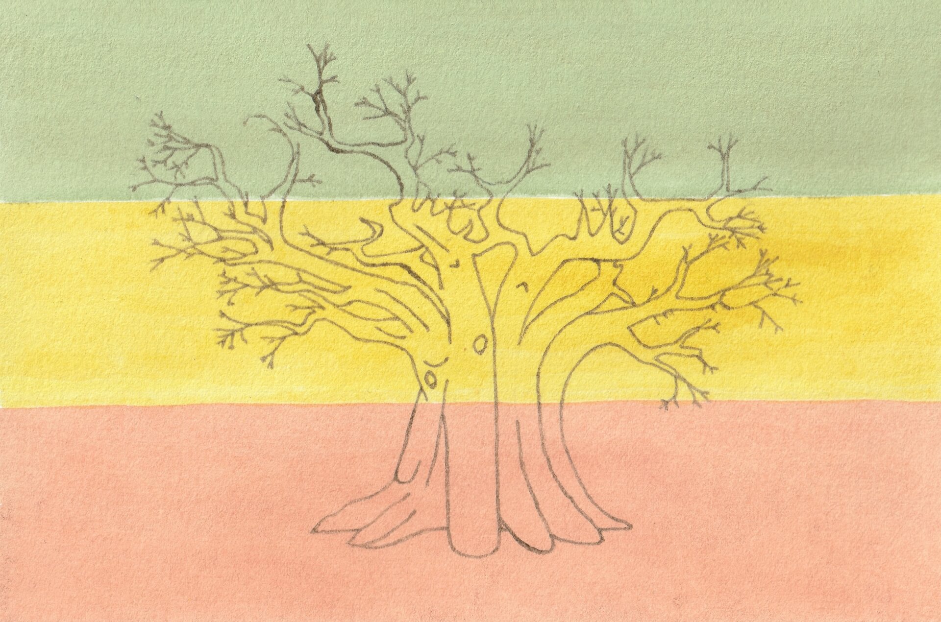 Rasta Baobab | christophe-henry