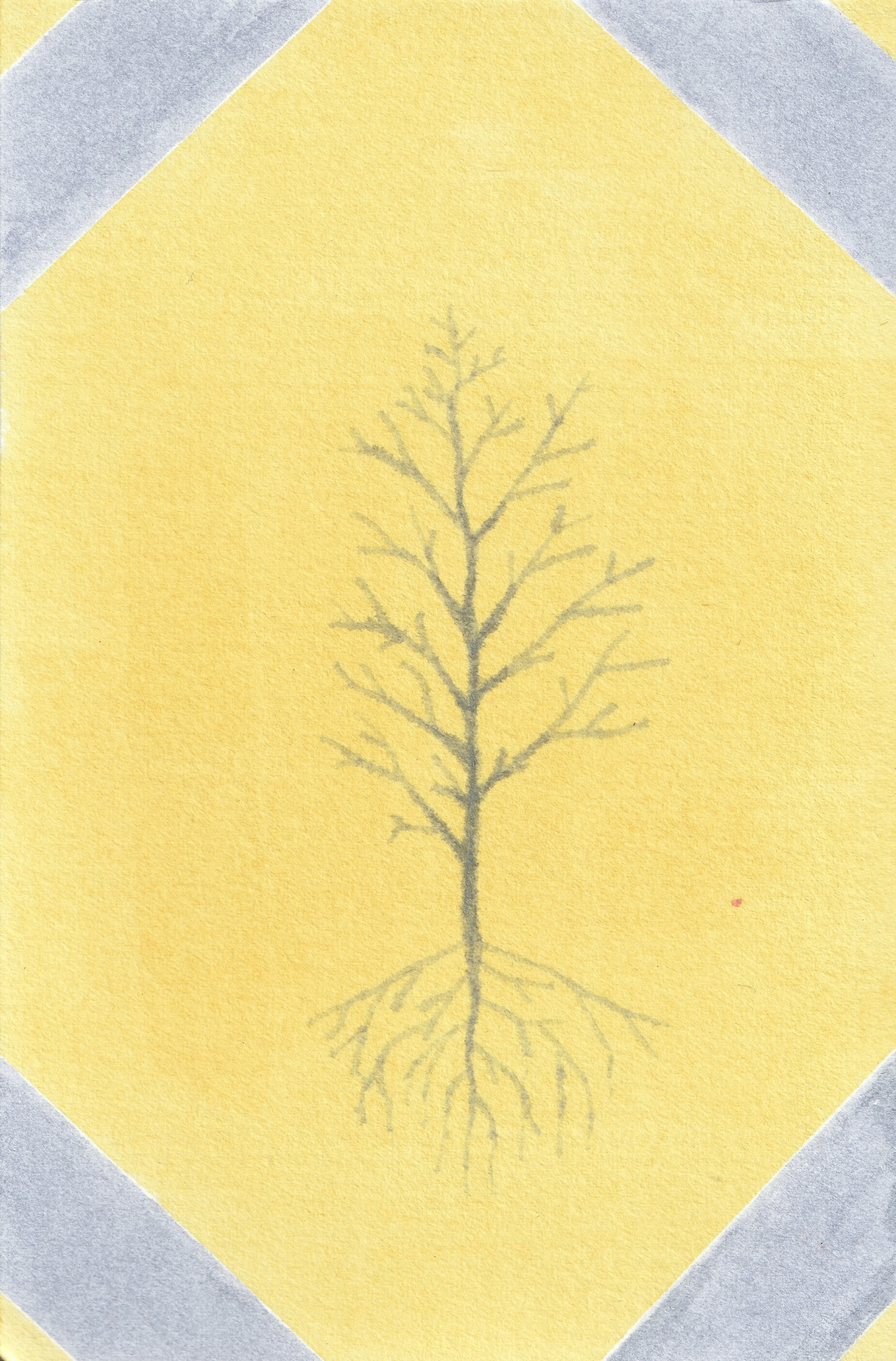 Duo Arbre | christophe-henry