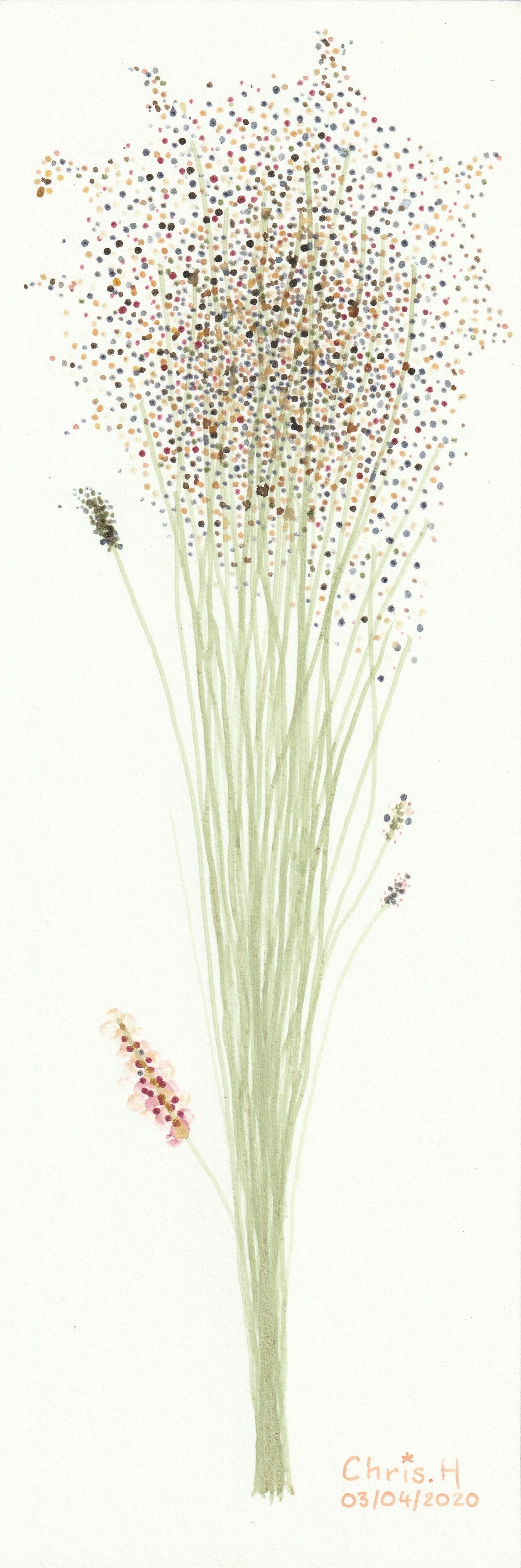 Composition florale | christophe-henry