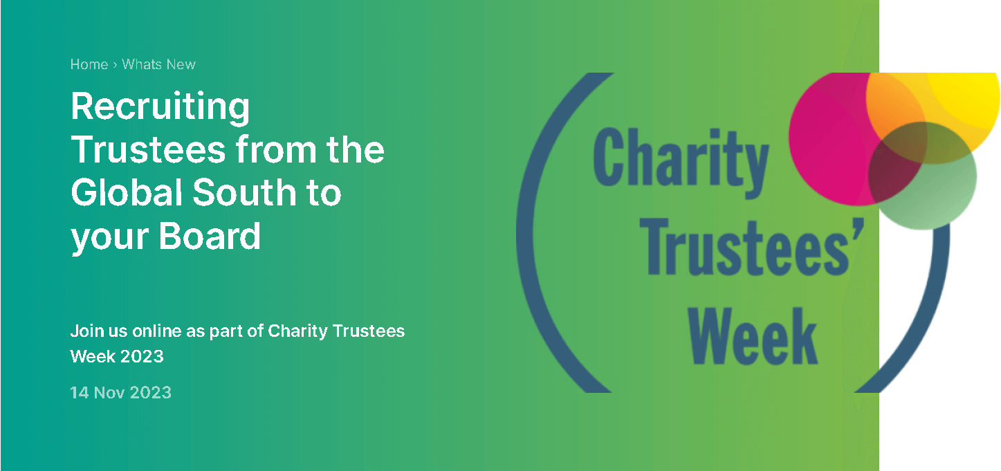 Dochas - panel discussion on  recruiting trustees from the global south to your board | Forus