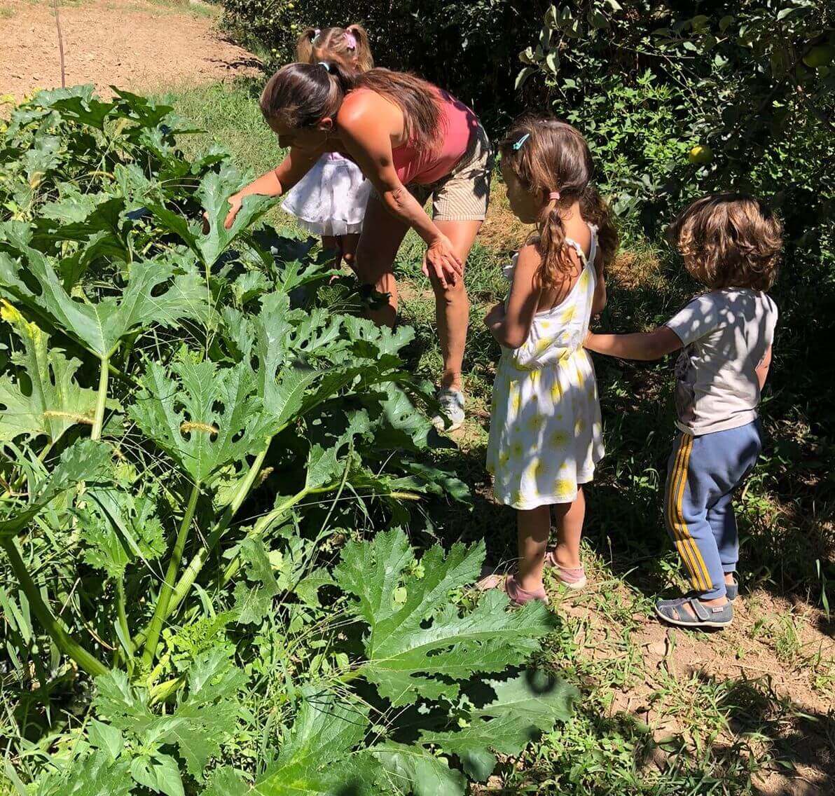 Le potager au fil des saisons | Résidence Résiliente