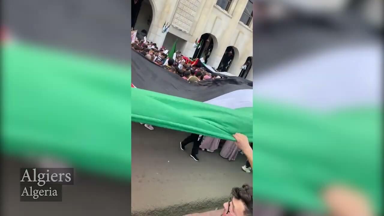 مظاهرات حول العالم تضامنا مع غزة / فلسطين