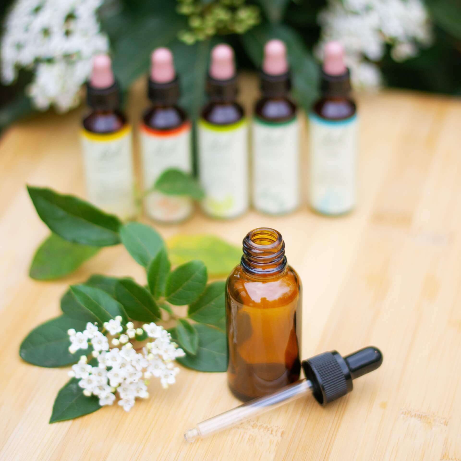 Delphine Escoulan - Naturopathe