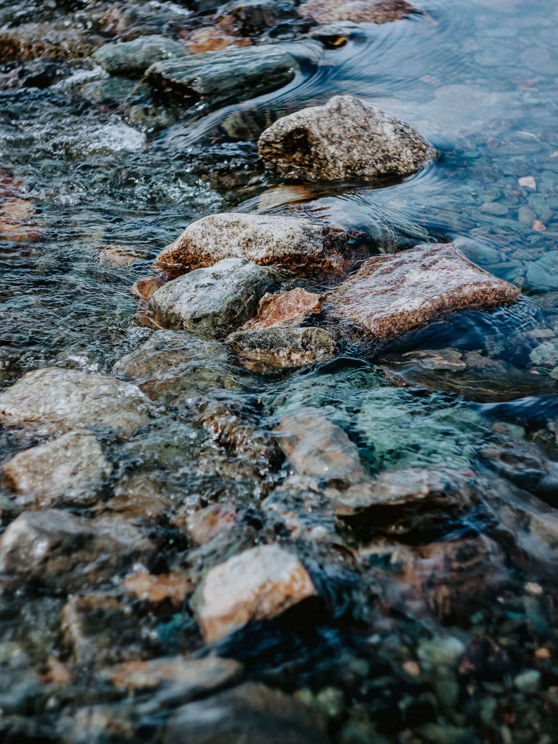 Delphine Escoulan - Naturopathe