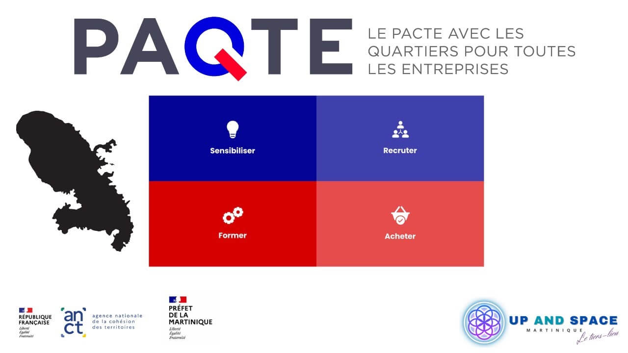 Mon Stage 3e en Martinique - WEBINAIRE pour les structures du PAQTE